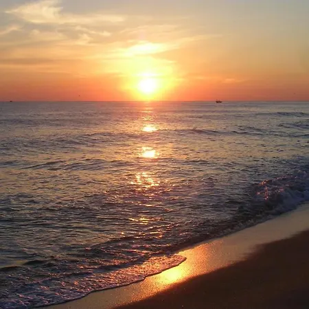 Vapore * Gatteo a Mare